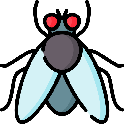 Fliegenbekämpfung Leistungen