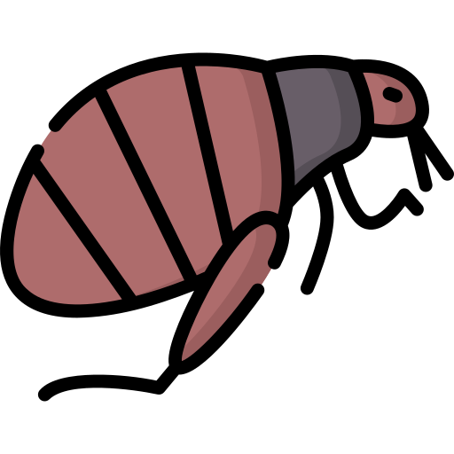 Flohbekämpfung Leistungen